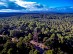 Sentier du Gardour - Forêt de l ... - Crédit: @Cirkwi - Comité Régional de Tourisme de Nouvelle-Aquitaine