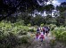 Sentier des 4 Fontaines - Forêt de la Coubre