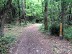 Sentier de la Loge - Forêt de la Coubre