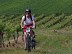 Circuit VTT N°14 - "Les Coteaux de l'Estuaire"