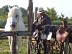 Promenades à cheval dans le marais de Brouage