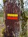 GRP® Midi Quercy: boucle Nord