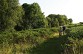VTT N°73 - Bois de Haut