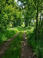 Balade à Vergheas_Vergheas