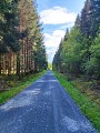 Le sentier des bois de Verneugheol_Verneugheol