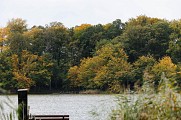 Balade autour de l'Étang des Marais
