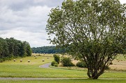 Randonnée à pied - Circuit Le Lion Couronné