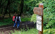 Circuit Le Zettingerwald