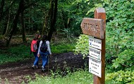 Circuit Le Zettingerwald