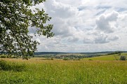Circuit Le Zettingerwald