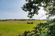 Le Chemin des Fruitiers à Wiesviller