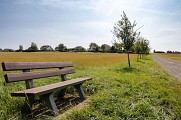 Le Chemin des Fruitiers à Wiesviller