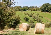 Le Chemin des Fruitiers à Wiesviller