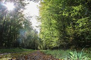Circuit Sur les traces des Spiritains