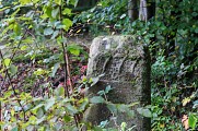 Circuit Sur les traces des Spiritains