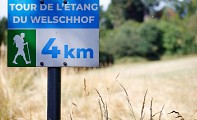 circuit Le tour de l'Étang du Welschhof