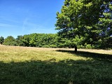 IMG_20250624_153446105_HDR