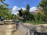 IMG_9308