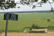 Vue