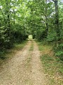 Sentier