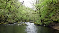 Rivière