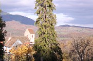 Les petits explorateurs à Dieffenbach-Au-Val