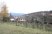 Les petits explorateurs à Neubois
