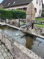 Balade ludique à Neuve-Eglise