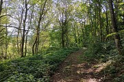 Sentier Rund'Um