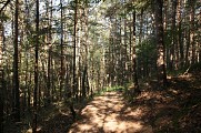 Chemin du Patrimoine "Une forêt en pays welche"