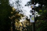 Chemin du Patrimoine "Une forêt en pays welche"