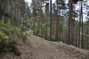 Randonnée - Le col de Fouchy