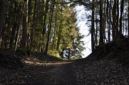 Randonnée - Les alentours de Bassemberg
