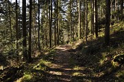 Randonnée - Les alentours de Bassemberg