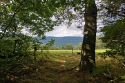 Chemin du Patrimoine "Ca coule de source"