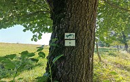 Chemin du Patrimoine "Ca coule de source"