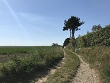 Circuit N°9 - La valleuse de Saussemare