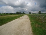 DSC02174