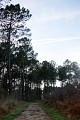 Foret-de-Migelane--EstelleSOLER--11-retouchee