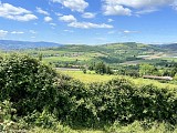 Paysage