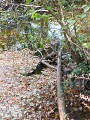 P1120762--800x600-
