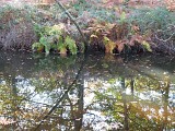 P1120766--800x600-