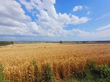Sur les traces des lavandières_Effiat