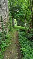Sentier étroit au départ de la Randonnée Entre Limagne et Combrailles