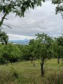 Entre Limagne et Combrailles_Saint-Agoulin