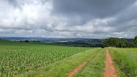 Panorama sur la randonnée Entre Limagne et Combrailles