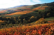 paysage