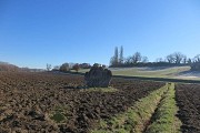 Menhir de Ste Carissime