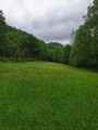 Clairière en bord de Dadou