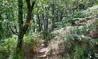 Signalétique sur le sentier